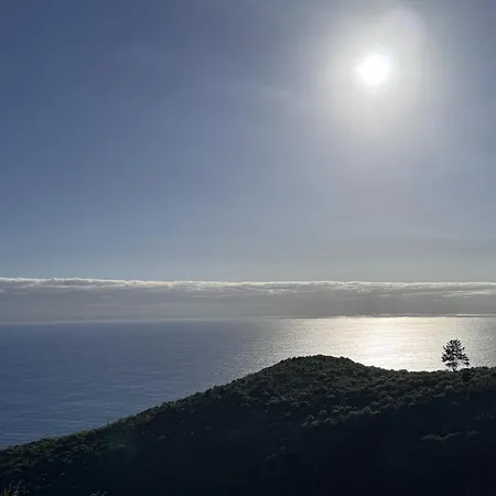 Jasmin By Atlantic * Canico (Madeira)